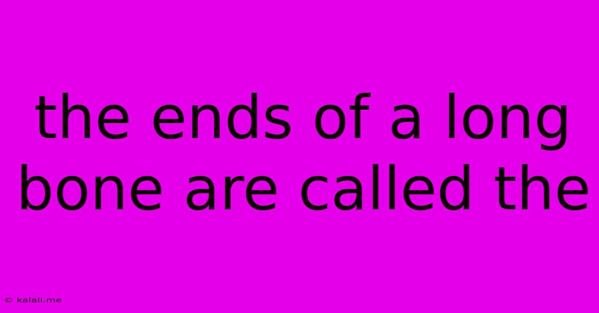 The Ends Of A Long Bone Are Called The