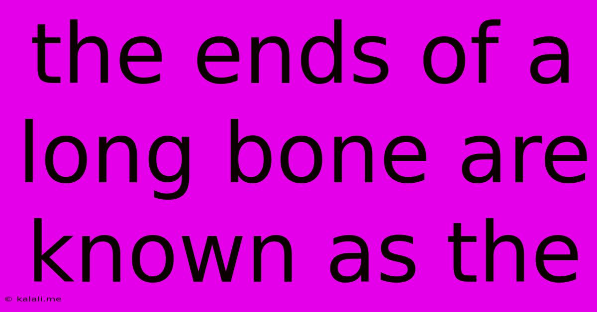The Ends Of A Long Bone Are Known As The