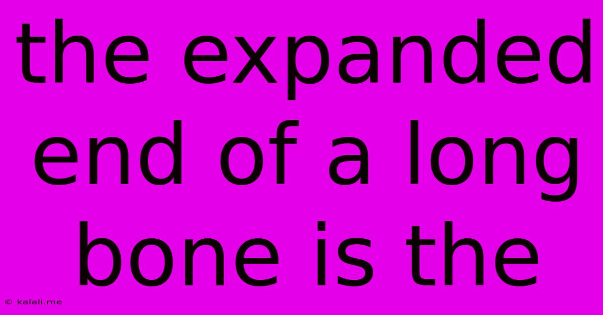 The Expanded End Of A Long Bone Is The