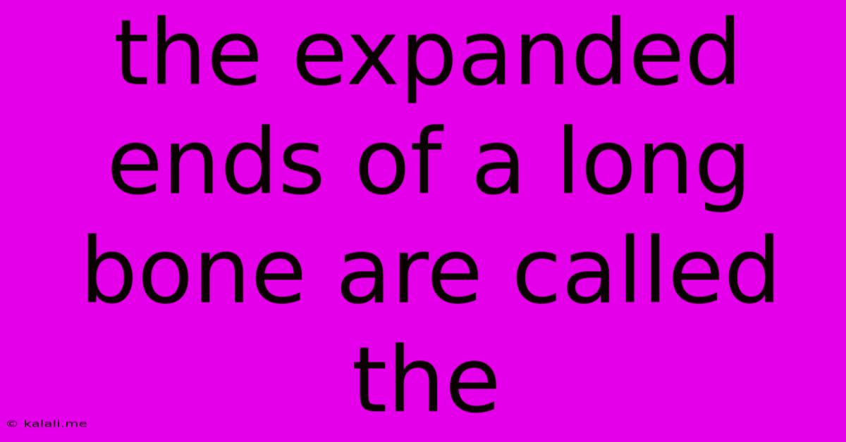The Expanded Ends Of A Long Bone Are Called The