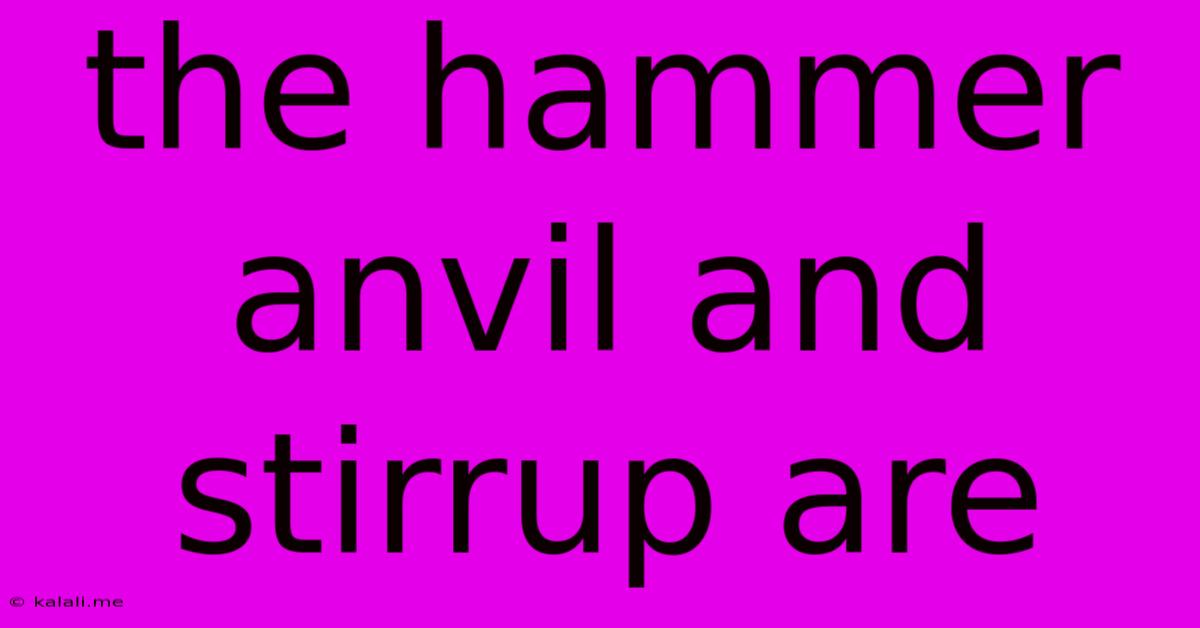 The Hammer Anvil And Stirrup Are