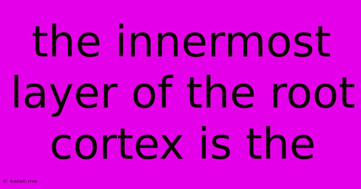 The Innermost Layer Of The Root Cortex Is The