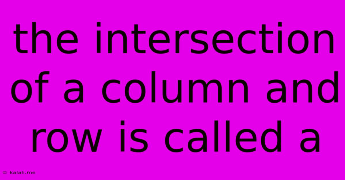 The Intersection Of A Column And Row Is Called A
