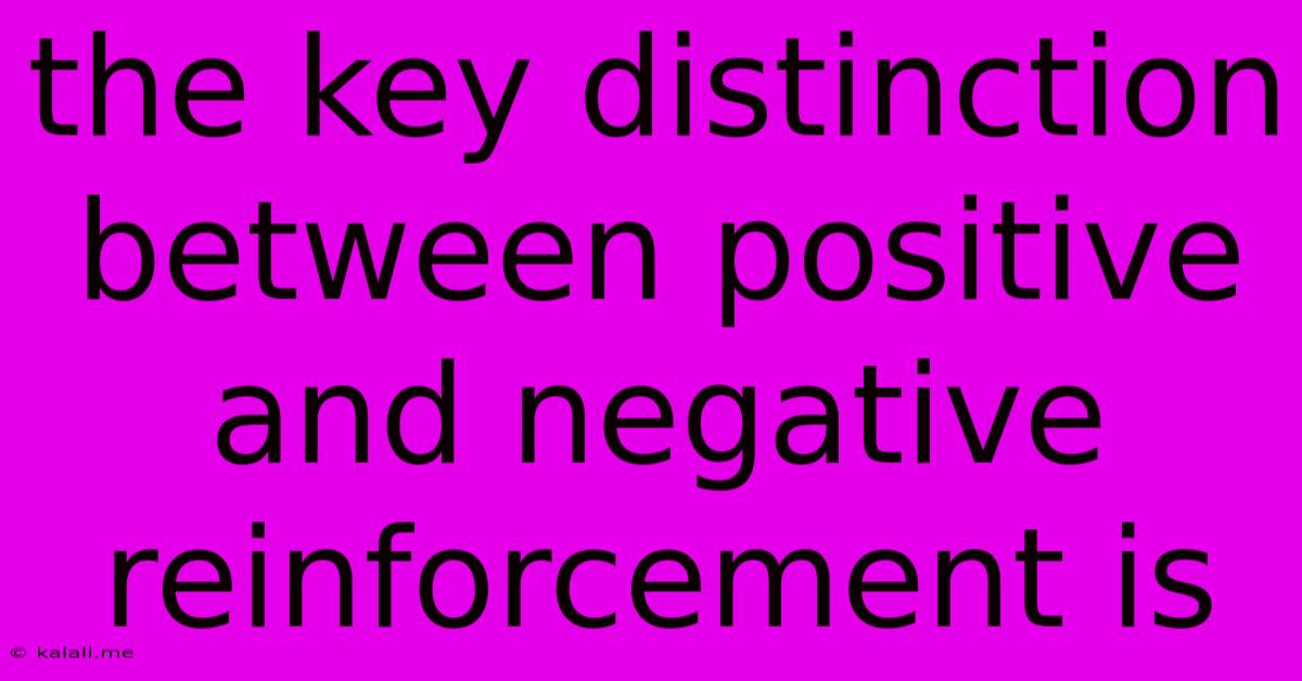 The Key Distinction Between Positive And Negative Reinforcement Is