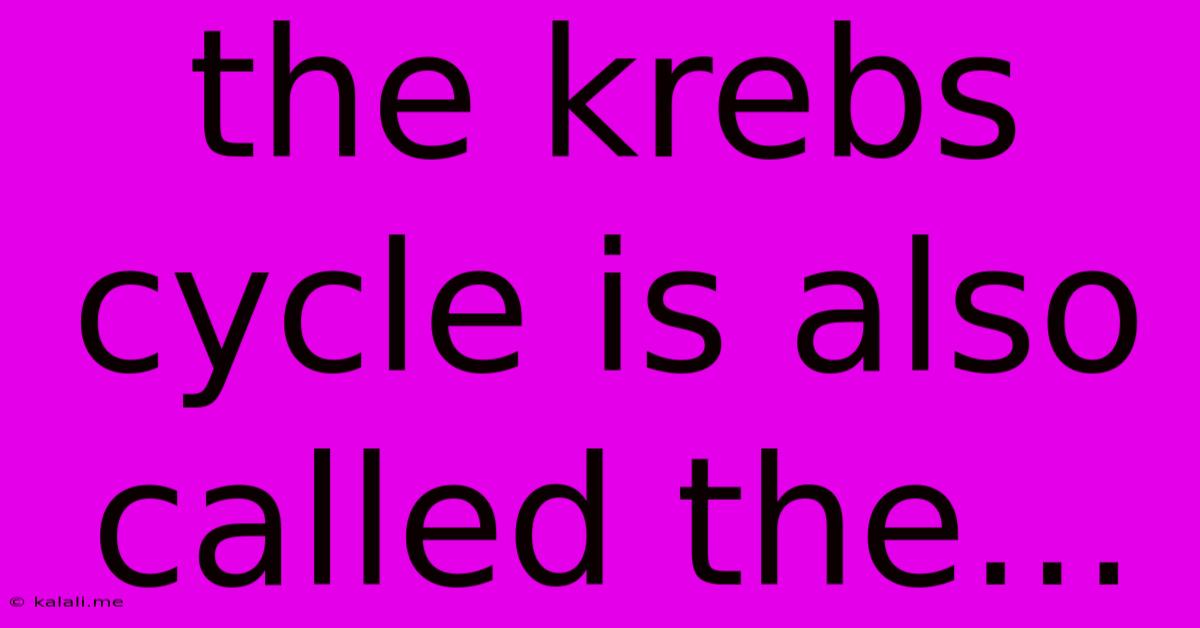 The Krebs Cycle Is Also Called The...
