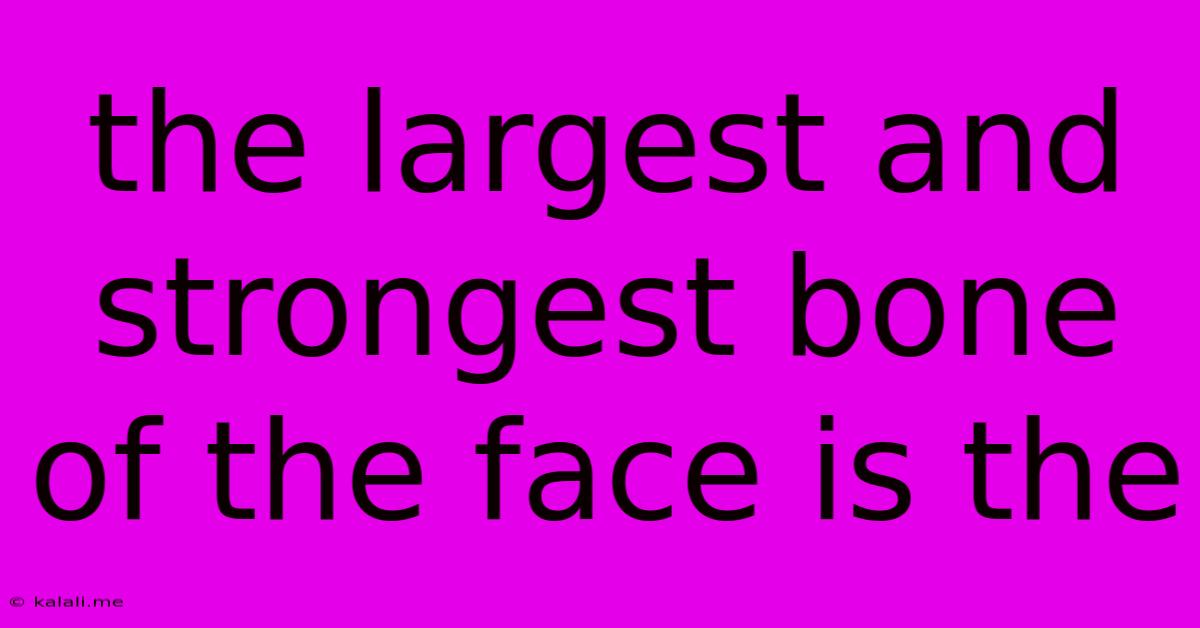 The Largest And Strongest Bone Of The Face Is The