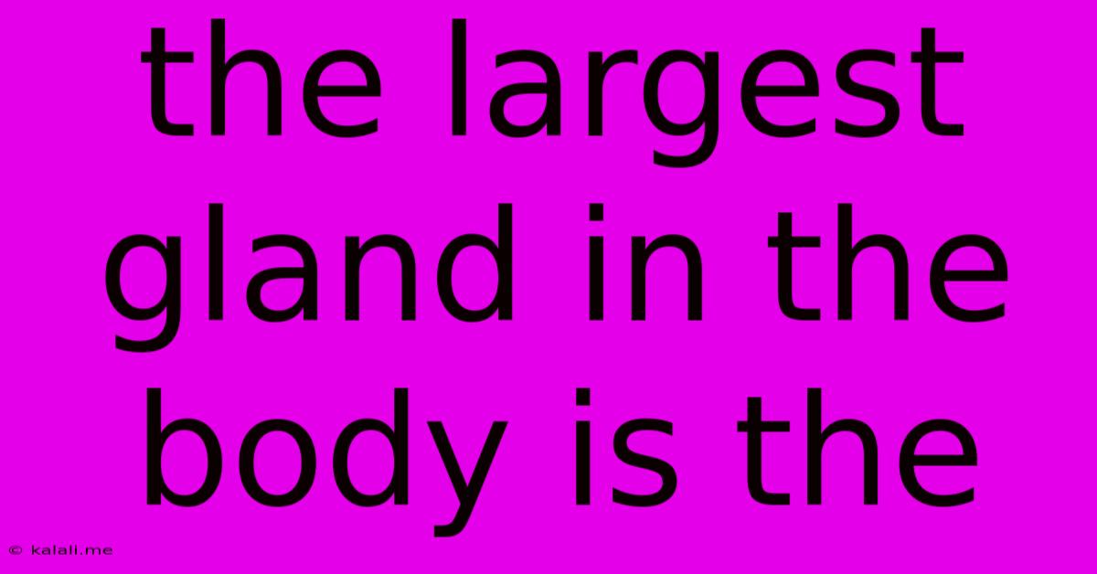 The Largest Gland In The Body Is The