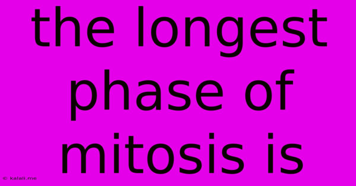 The Longest Phase Of Mitosis Is