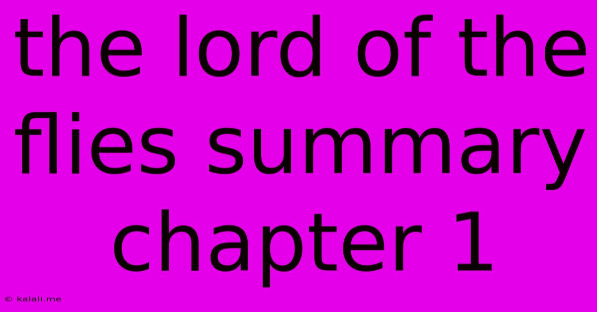 The Lord Of The Flies Summary Chapter 1