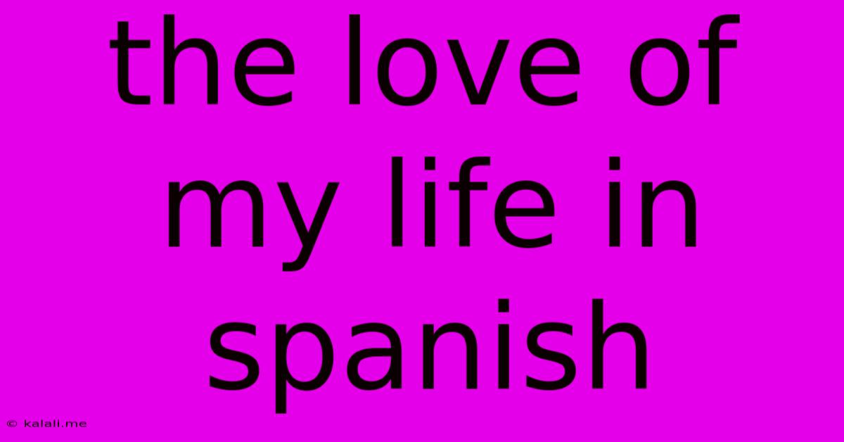 The Love Of My Life In Spanish
