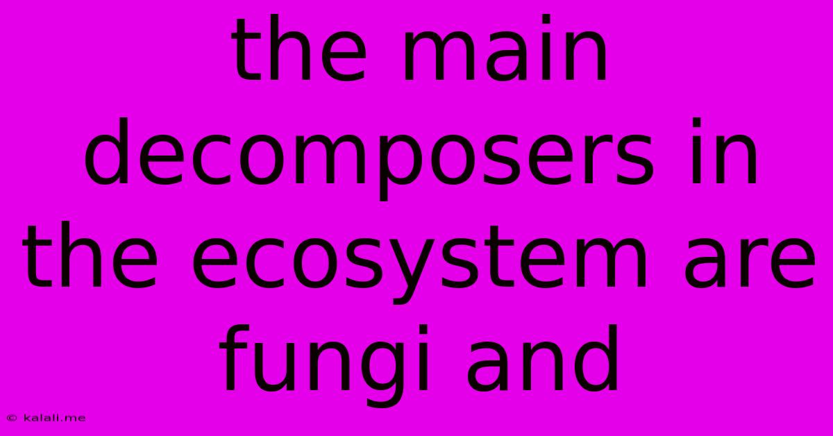 The Main Decomposers In The Ecosystem Are Fungi And