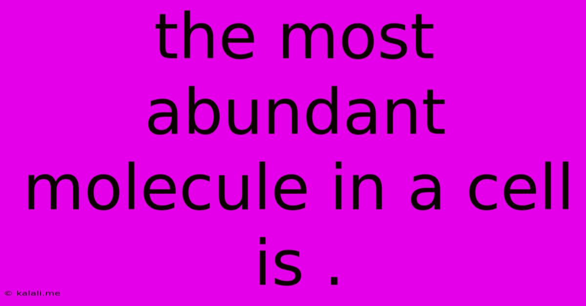 The Most Abundant Molecule In A Cell Is .