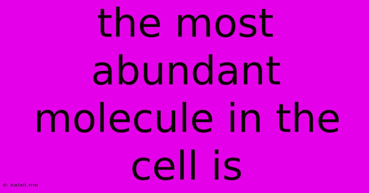 The Most Abundant Molecule In The Cell Is