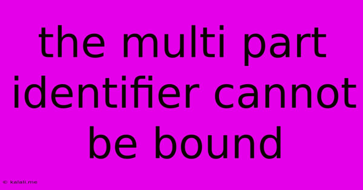 The Multi Part Identifier Cannot Be Bound