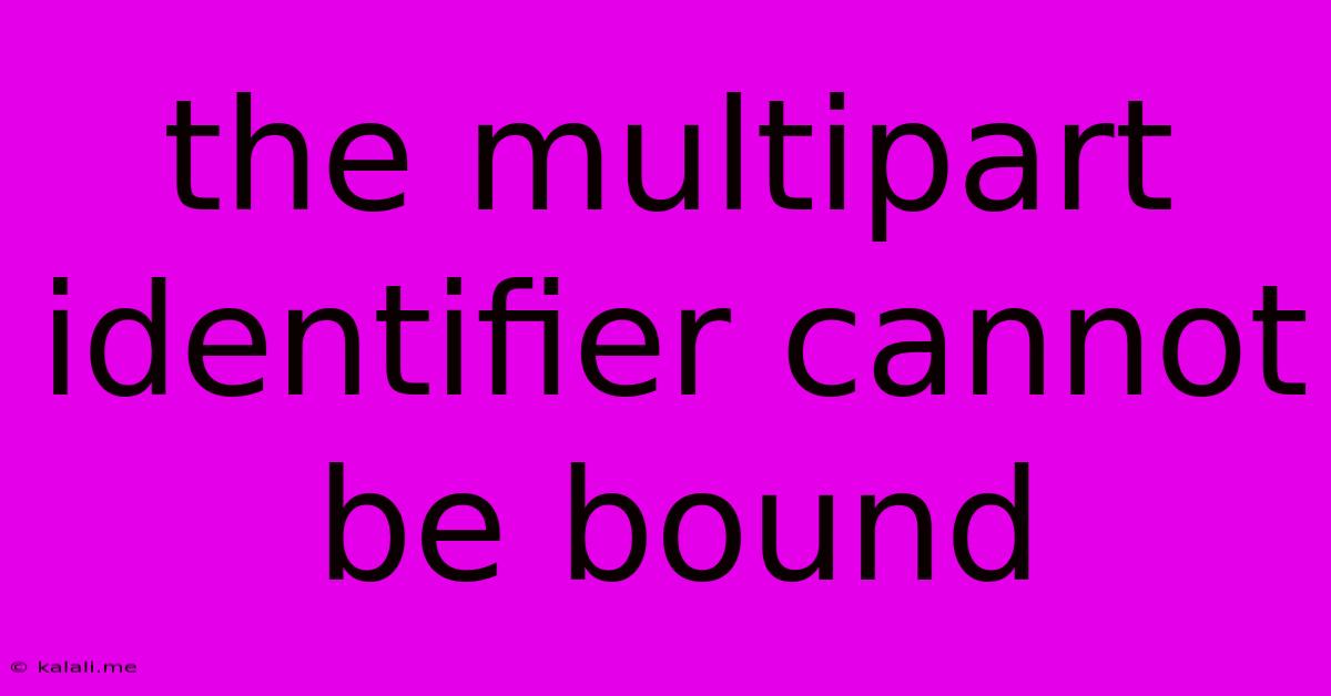 The Multipart Identifier Cannot Be Bound