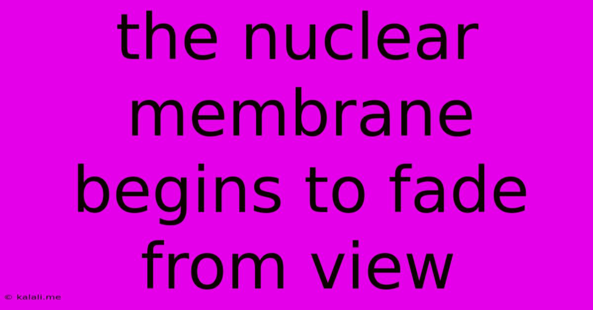 The Nuclear Membrane Begins To Fade From View