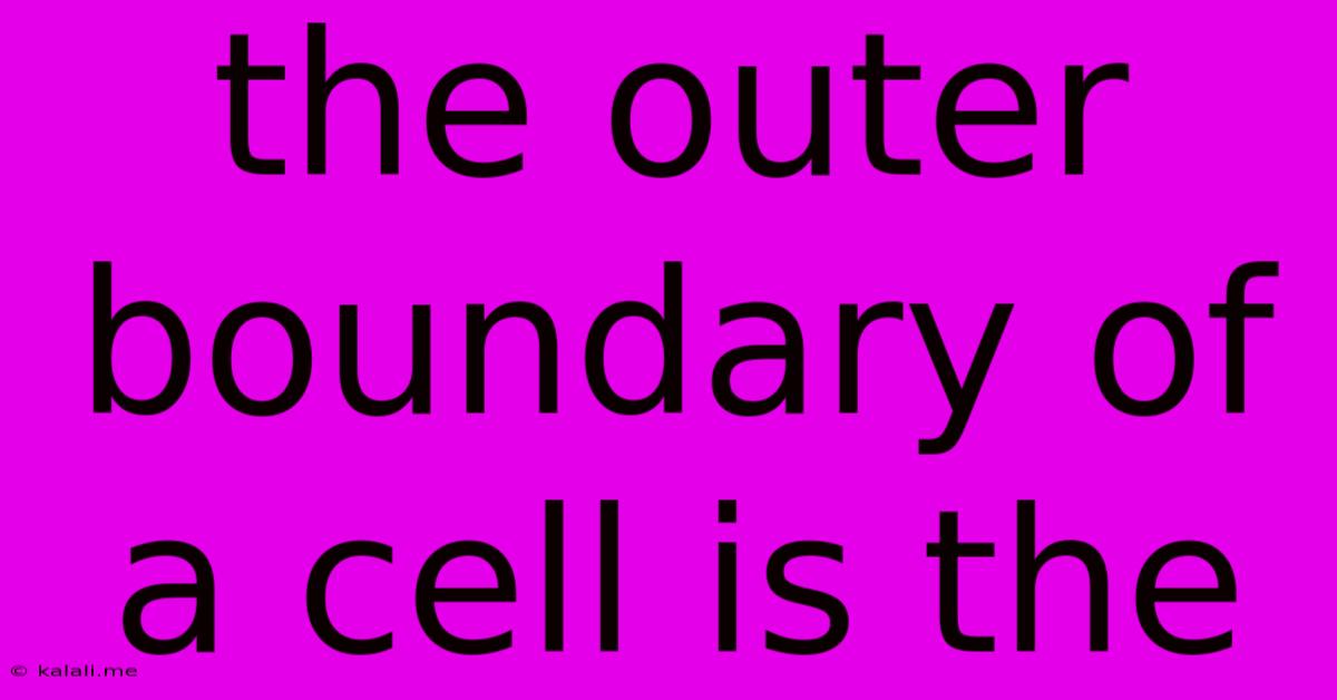 The Outer Boundary Of A Cell Is The