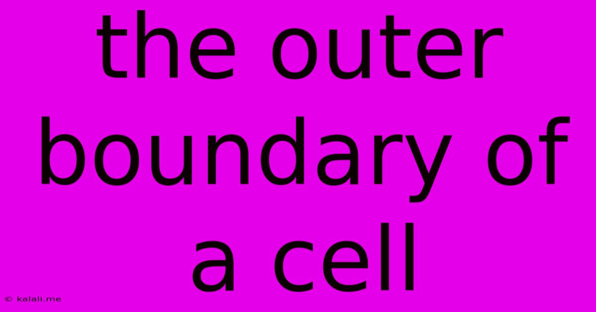 The Outer Boundary Of A Cell