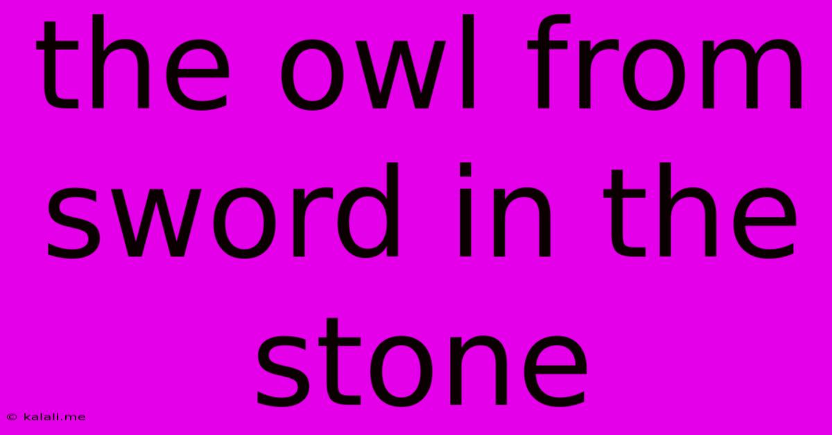 The Owl From Sword In The Stone