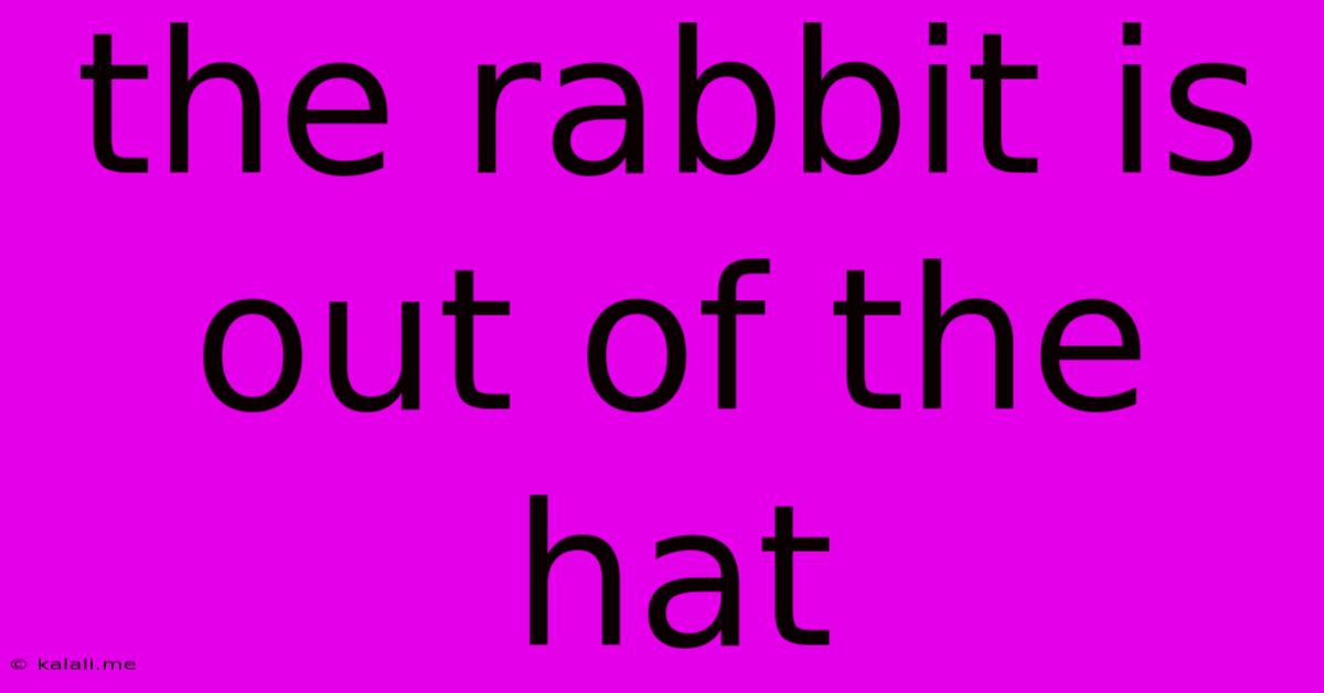 The Rabbit Is Out Of The Hat