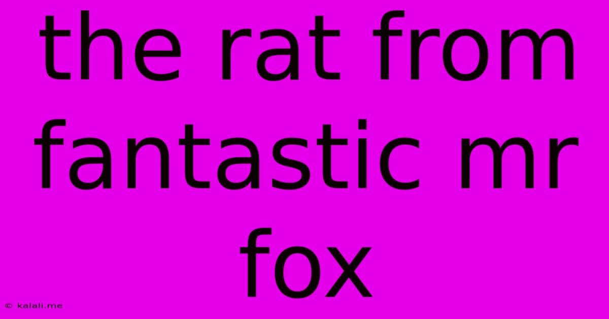 The Rat From Fantastic Mr Fox