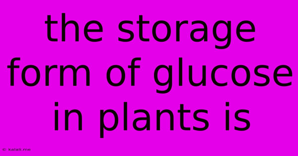 The Storage Form Of Glucose In Plants Is