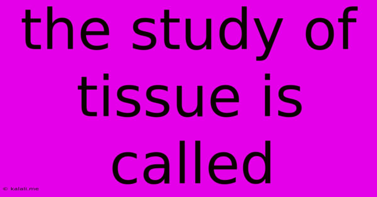 The Study Of Tissue Is Called