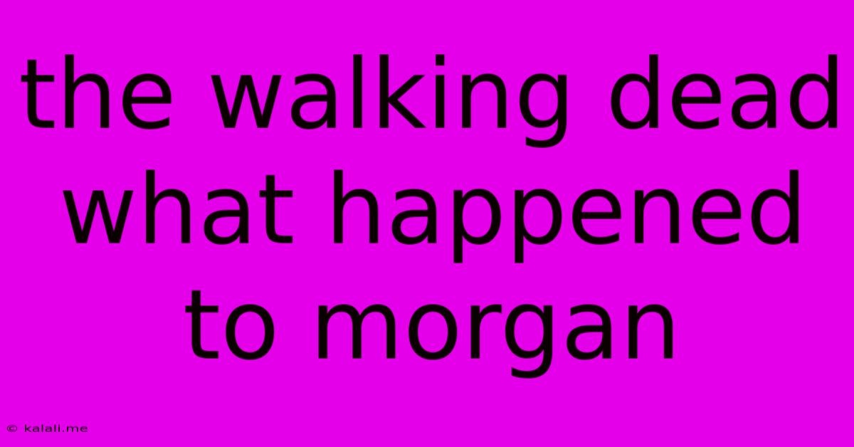 The Walking Dead What Happened To Morgan