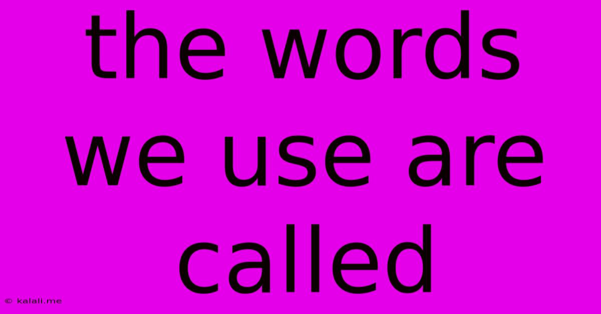 The Words We Use Are Called