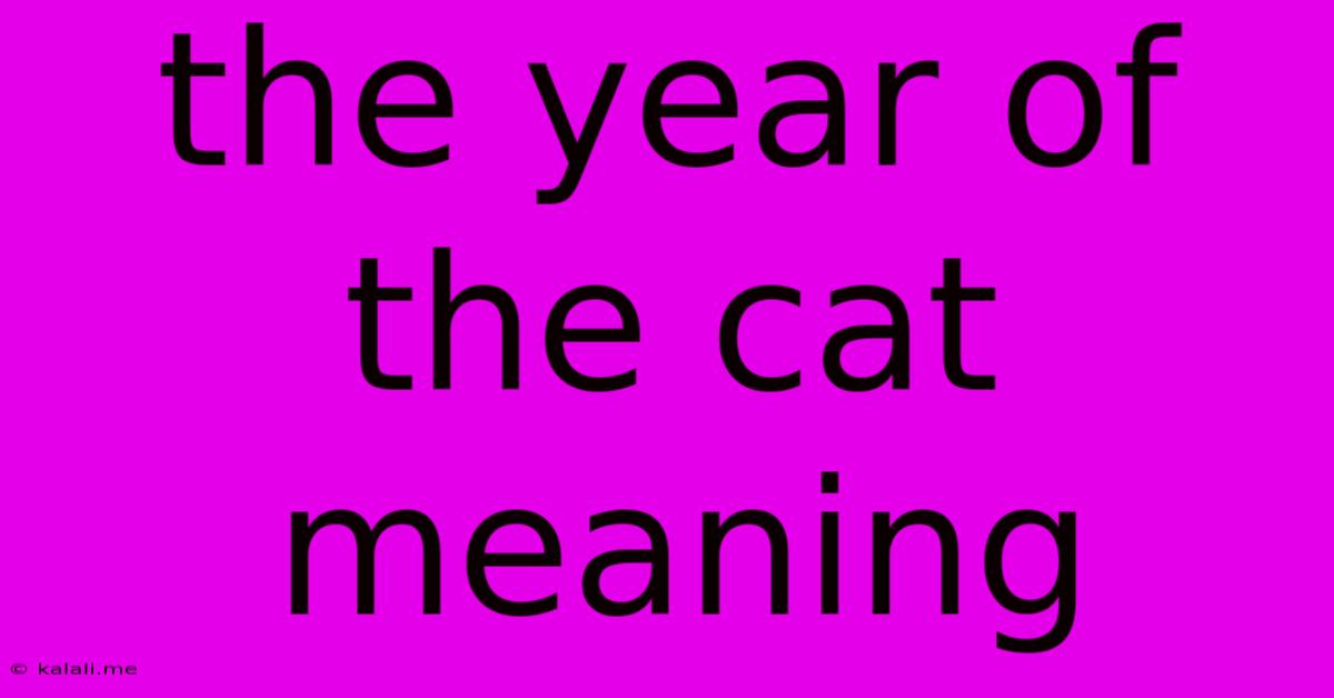 The Year Of The Cat Meaning