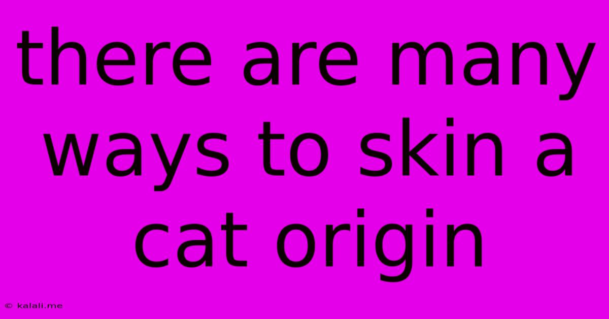 There Are Many Ways To Skin A Cat Origin