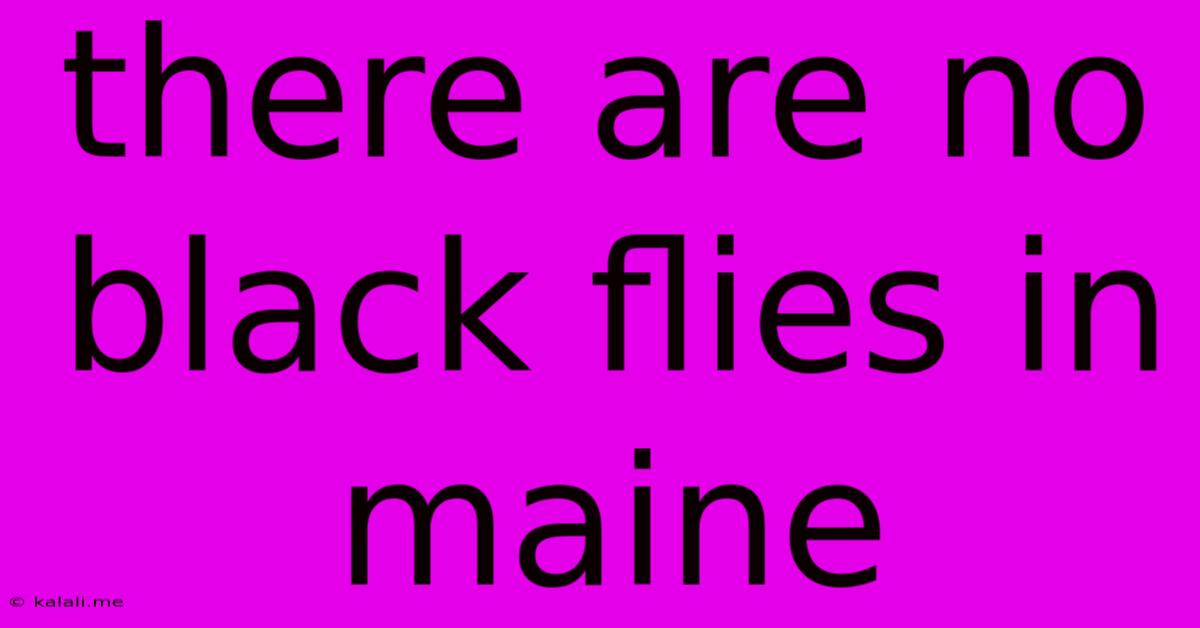 There Are No Black Flies In Maine