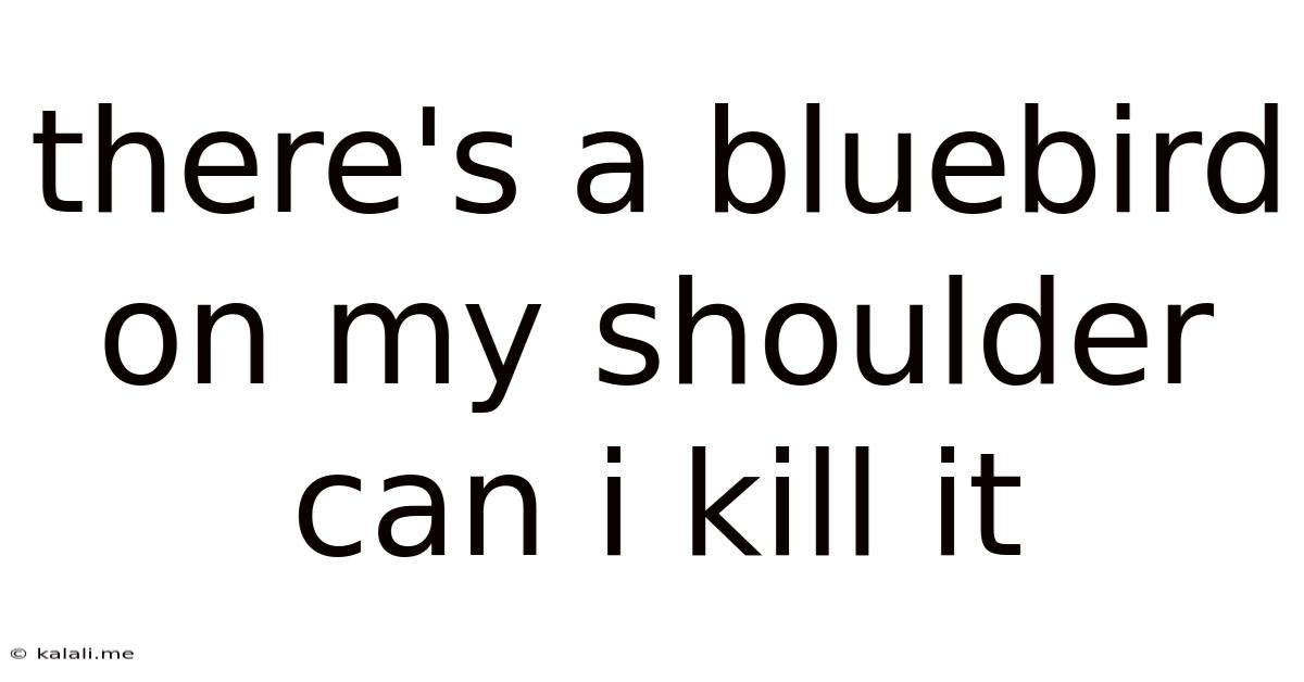 There's A Bluebird On My Shoulder Can I Kill It