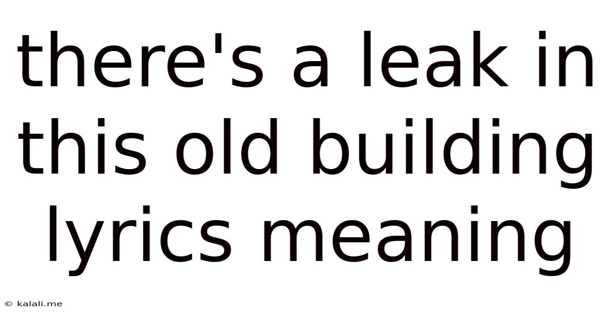 There's A Leak In This Old Building Lyrics Meaning