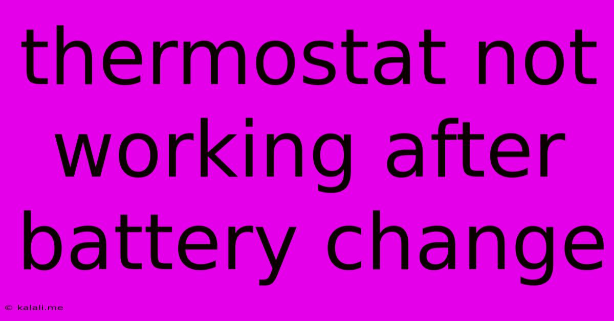 Thermostat Not Working After Battery Change