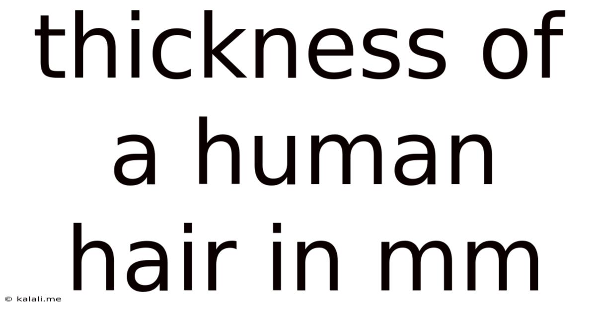 Thickness Of A Human Hair In Mm