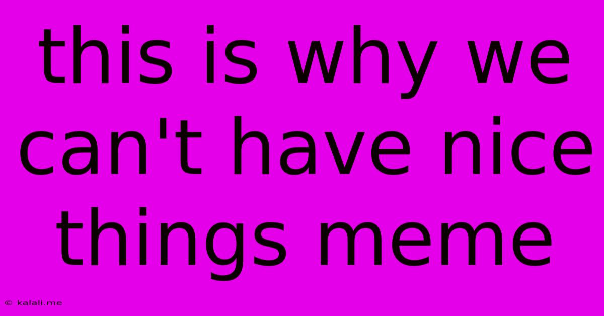 This Is Why We Can't Have Nice Things Meme