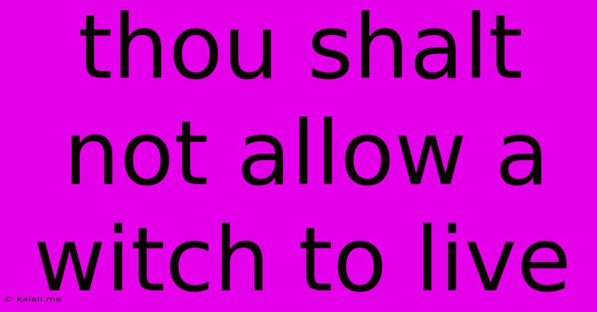 Thou Shalt Not Allow A Witch To Live