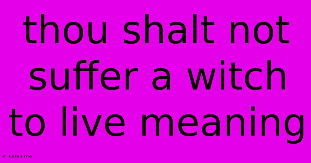Thou Shalt Not Suffer A Witch To Live Meaning