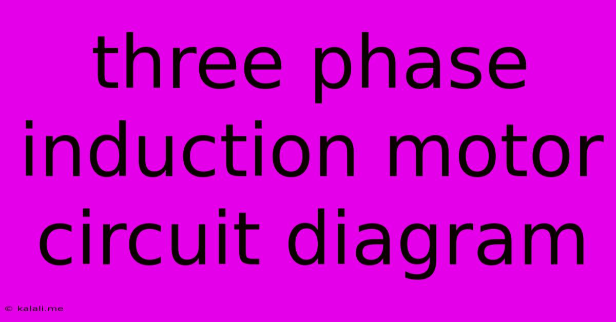 Three Phase Induction Motor Circuit Diagram