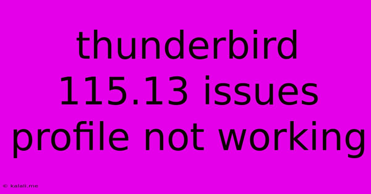 Thunderbird 115.13 Issues Profile Not Working