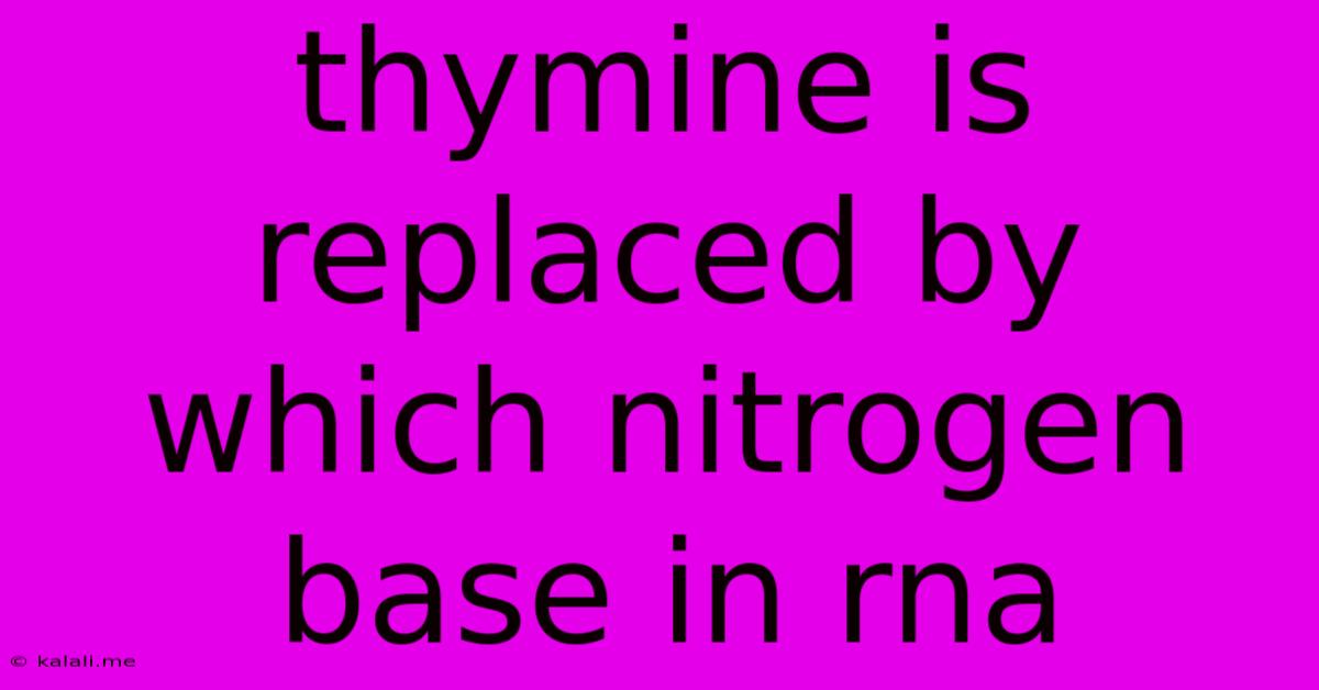 Thymine Is Replaced By Which Nitrogen Base In Rna