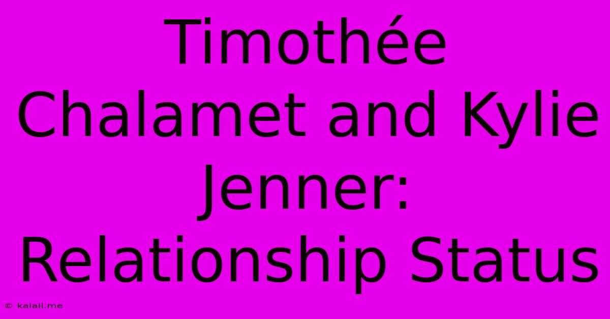 Timothée Chalamet And Kylie Jenner: Relationship Status