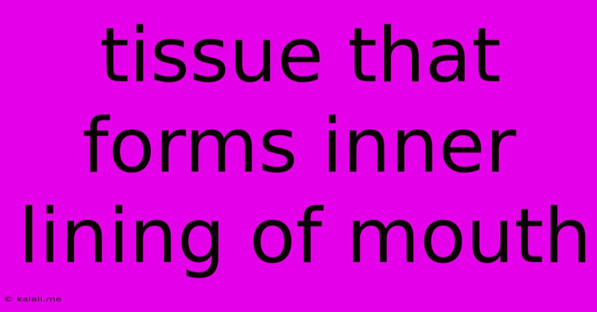 Tissue That Forms Inner Lining Of Mouth