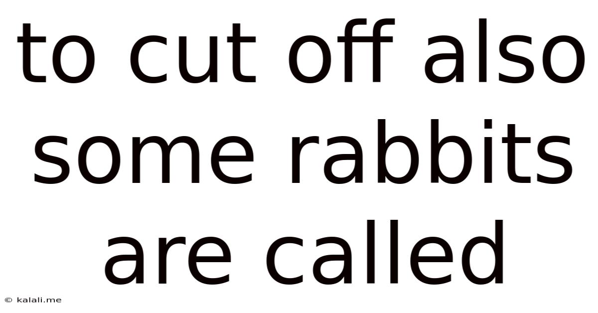 To Cut Off Also Some Rabbits Are Called