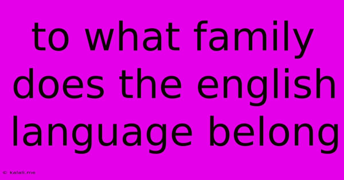 To What Family Does The English Language Belong