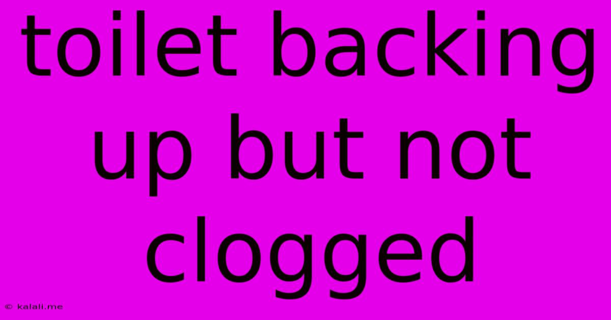 Toilet Backing Up But Not Clogged