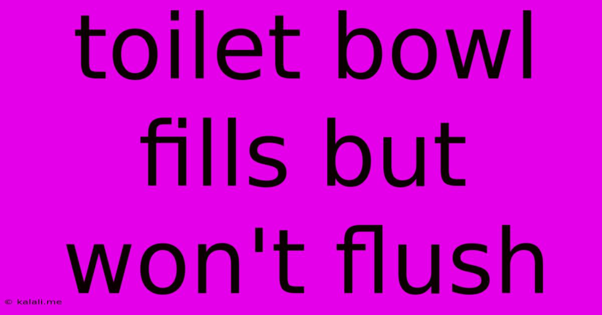 Toilet Bowl Fills But Won't Flush