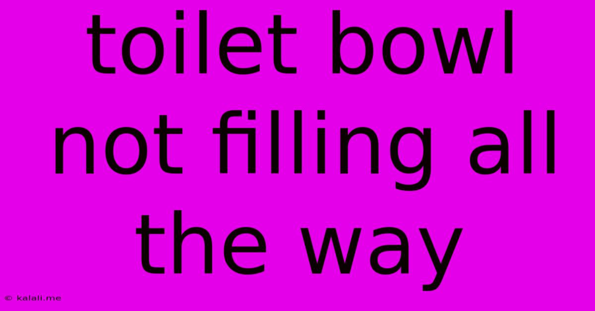 Toilet Bowl Not Filling All The Way