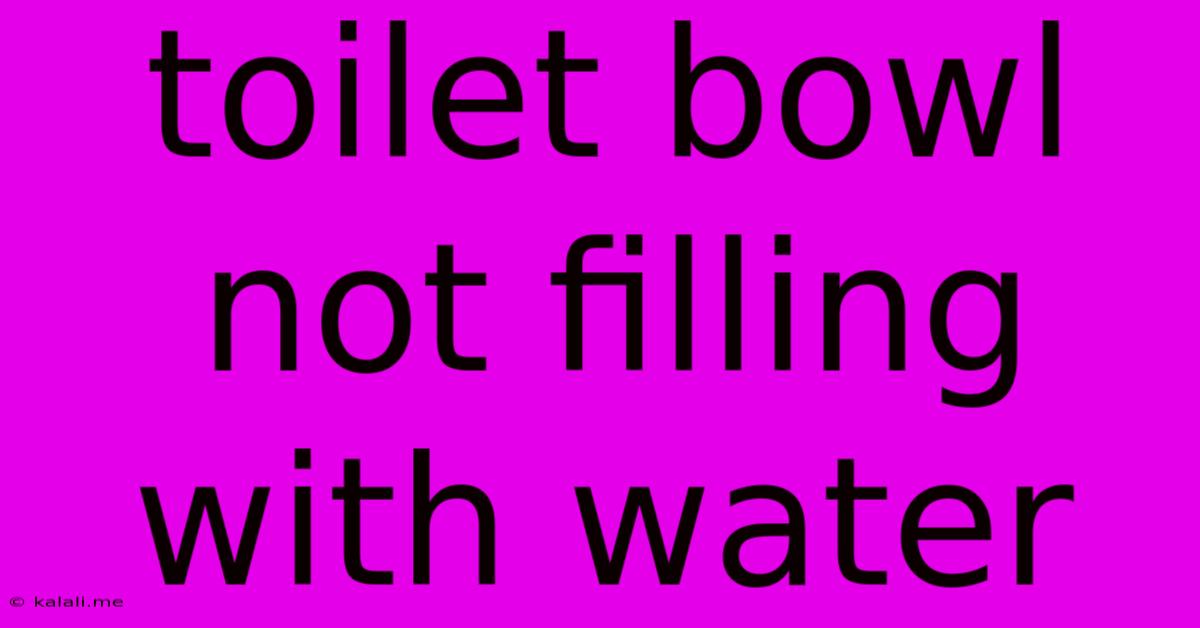 Toilet Bowl Not Filling With Water
